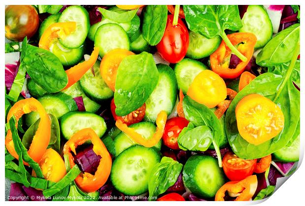 Natural vegetable salad, food background Print by Mykola Lunov Mykola