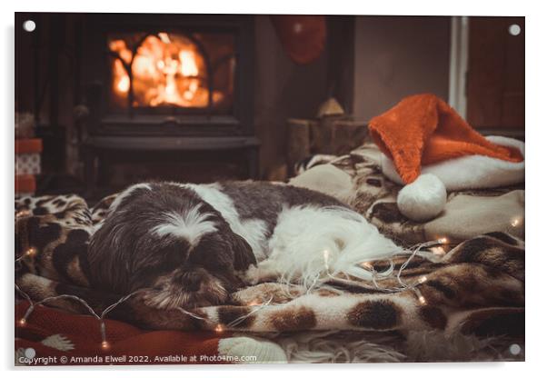 Dog Sleeping By Roaring Log Fire Acrylic by Amanda Elwell