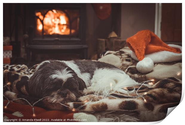 Dog Sleeping By Roaring Log Fire Print by Amanda Elwell