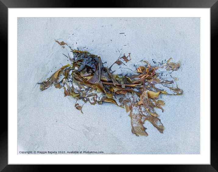 Seaweed on White Sand Framed Mounted Print by Maggie Bajada