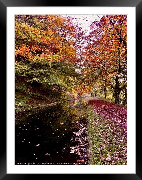 Autumn colours Framed Mounted Print by Julie Tattersfield