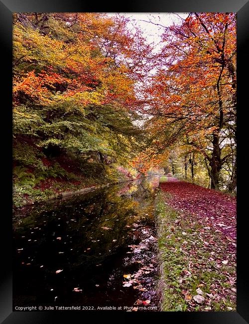 Autumn colours Framed Print by Julie Tattersfield