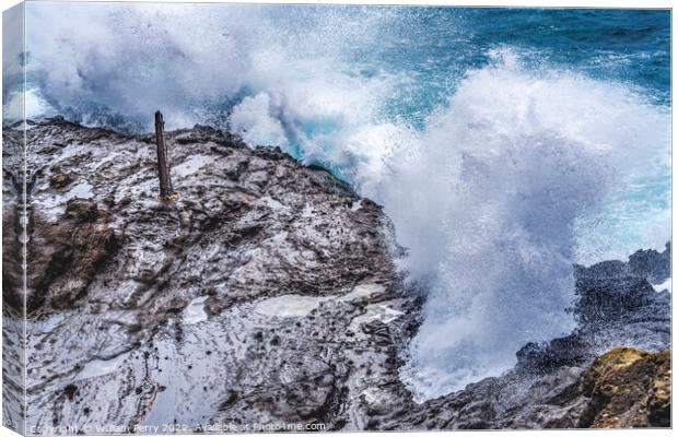 Colorful Halona Lava Blowhole Ocean Spray Honolulu Oahu Hawaii Canvas Print by William Perry