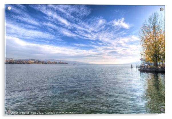 Lake Zurich Beauty  Acrylic by David Pyatt