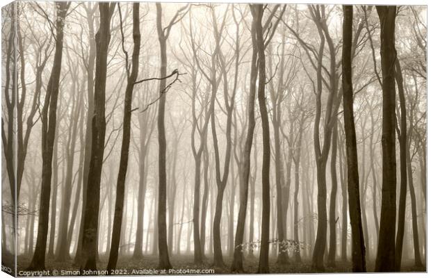 misty Beech woodland (trees) Canvas Print by Simon Johnson