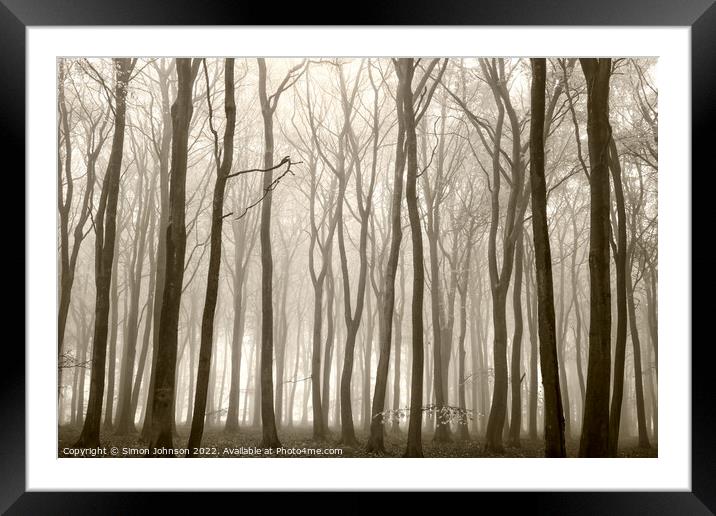 misty Beech woodland (trees) Framed Mounted Print by Simon Johnson