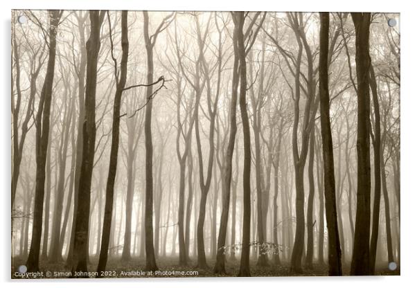 misty Beech woodland (trees) Acrylic by Simon Johnson