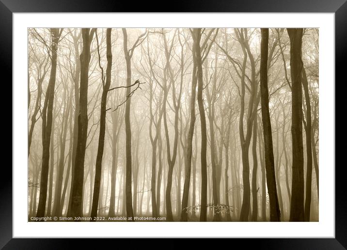 woodland Architecture  Framed Mounted Print by Simon Johnson