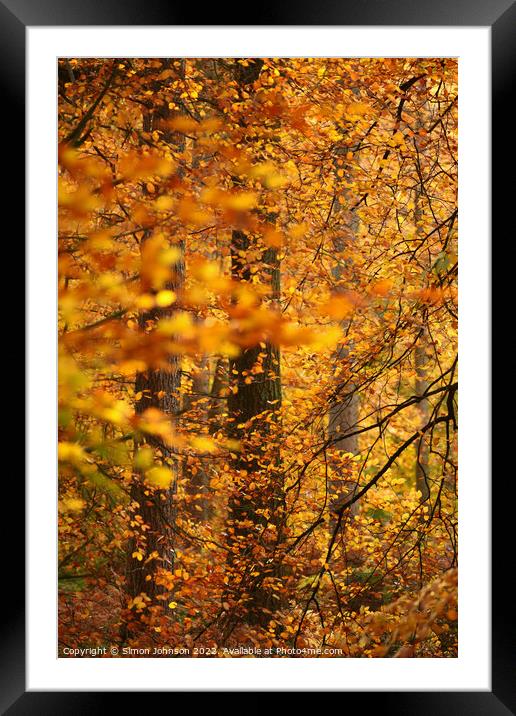 wind blown air woodland Framed Mounted Print by Simon Johnson