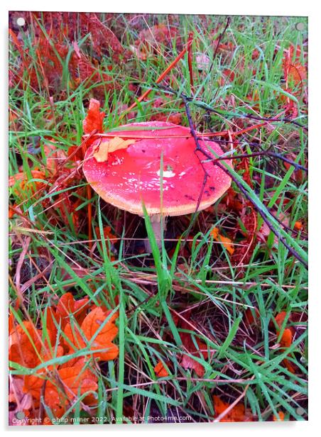 Fungus In Woods Acrylic by philip milner