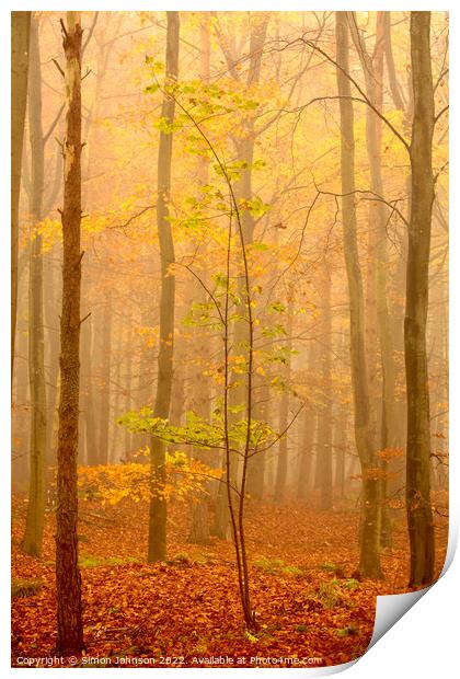 misty autumn woodland Print by Simon Johnson