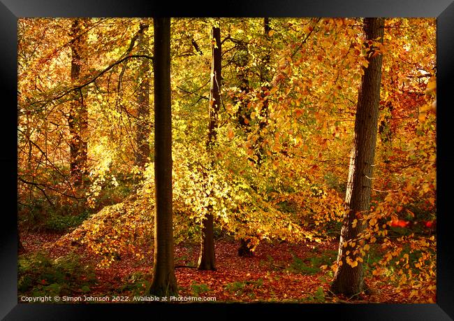 Autumn Colour Framed Print by Simon Johnson