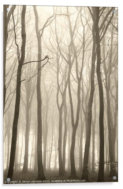 Misty woodland  Acrylic by Simon Johnson