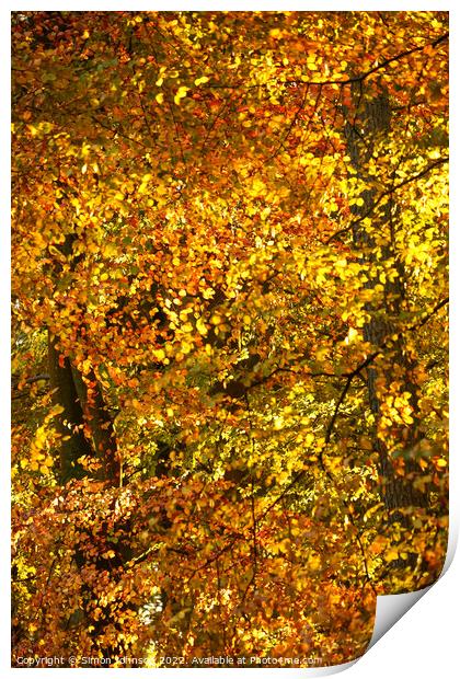 Autumn colour Print by Simon Johnson