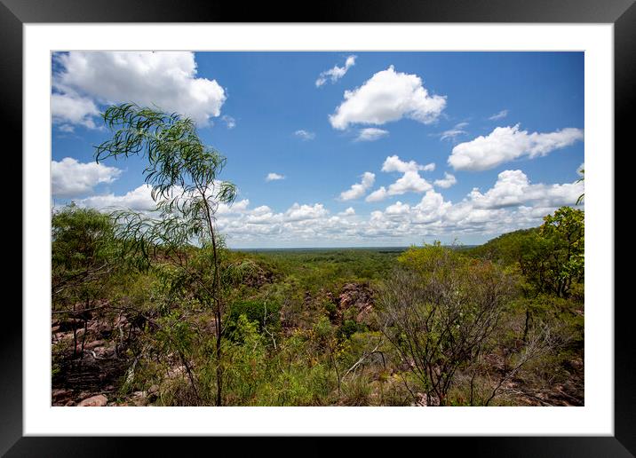 Tolmer Falls Monsoon Forest Framed Mounted Print by Antonio Ribeiro