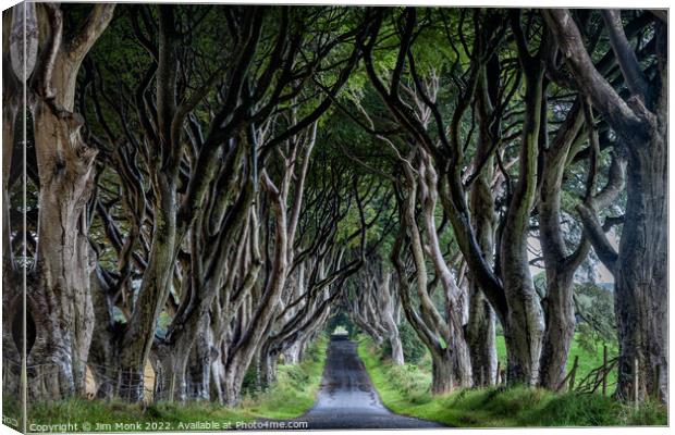 The Dark Hedges of Northern Ireland Canvas Print by Jim Monk