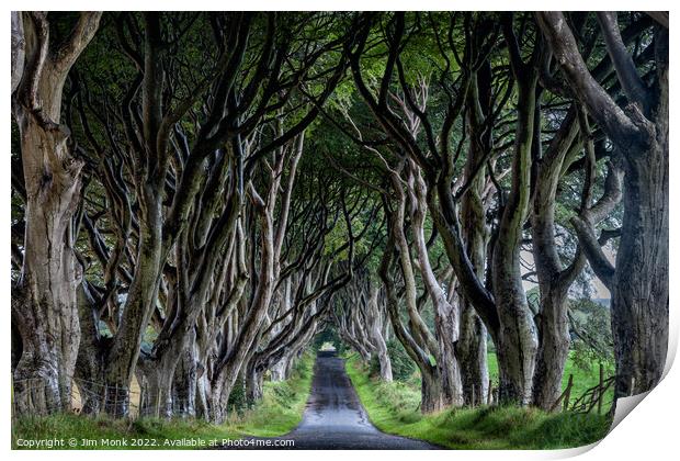 The Dark Hedges of Northern Ireland Print by Jim Monk