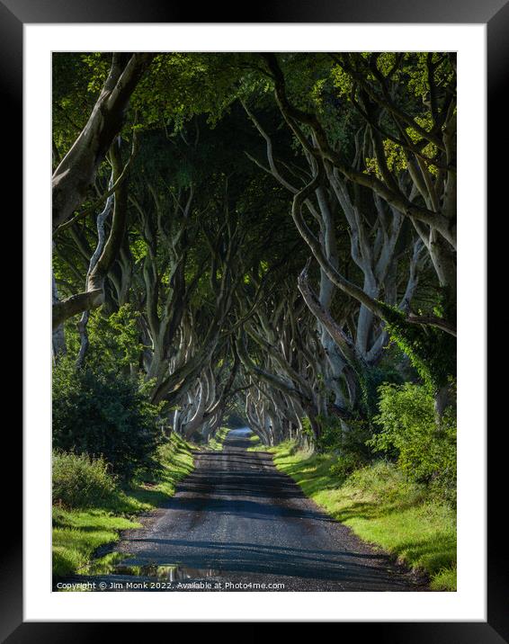 The Dark Hedges of Antrim Framed Mounted Print by Jim Monk