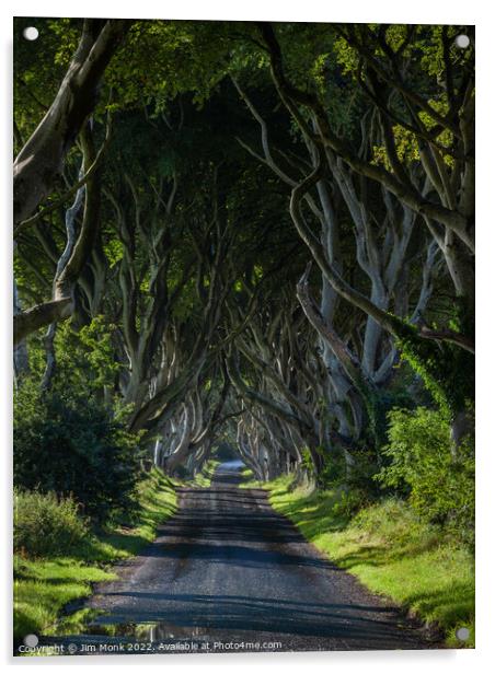 The Dark Hedges of Antrim Acrylic by Jim Monk