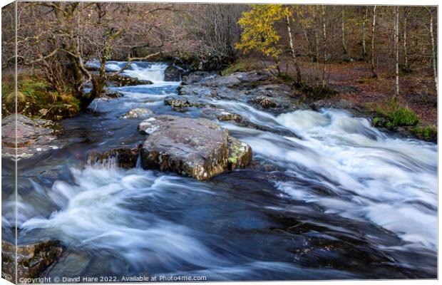 Aira High Force Falls Canvas Print by David Hare