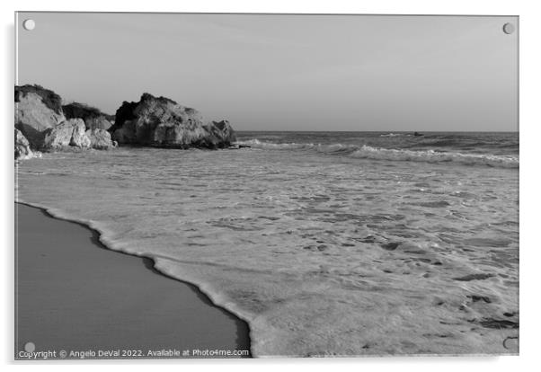 Quiet Waves in Gale Beach - Monochrome Acrylic by Angelo DeVal