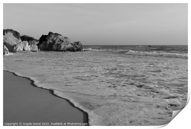 Quiet Waves in Gale Beach - Monochrome Print by Angelo DeVal