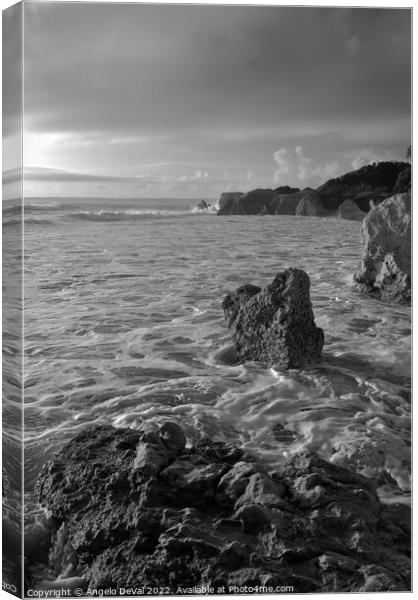 High Tides in Gale Beach - Monochrome Canvas Print by Angelo DeVal