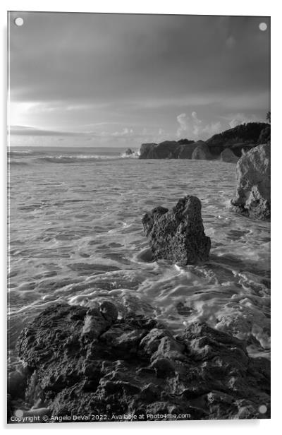 High Tides in Gale Beach - Monochrome Acrylic by Angelo DeVal