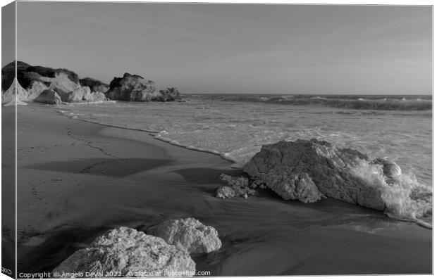 Low Tides in Gale Beach - Monochrome Canvas Print by Angelo DeVal