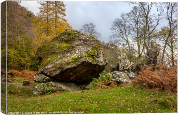 Bowder Stone Canvas Print by David Hare