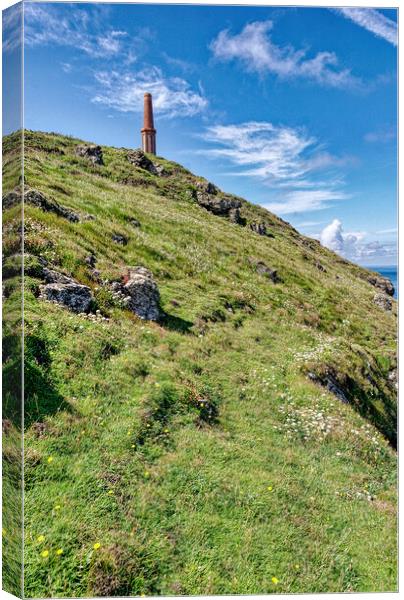 Hilltop Tin Mine Canvas Print by Roger Mechan