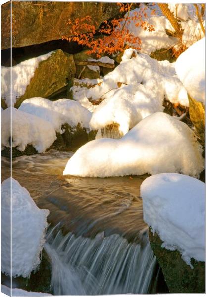 Winter stream at Padley Gorge. Canvas Print by David Birchall
