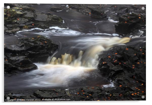 Cascade Flowing over Dark Whin Sill Rocks, North P Acrylic by David Forster