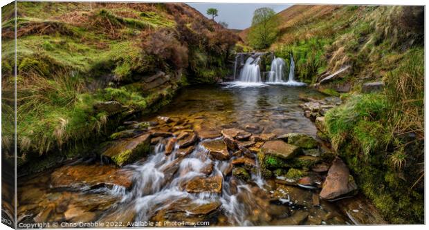 Fairbrook in spate Canvas Print by Chris Drabble
