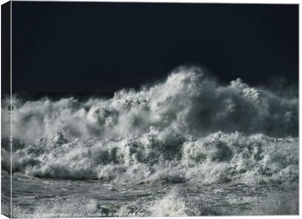 Majestic Turbulent Waves Canvas Print by Dudley Wood