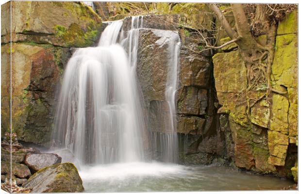 Waterfall at Lumsdale, Derbyshire. Canvas Print by David Birchall
