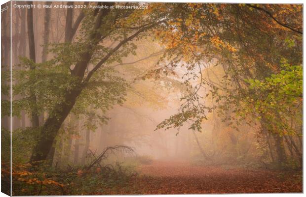 Whitwell woods Canvas Print by Paul Andrews