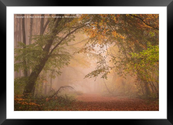 Whitwell woods Framed Mounted Print by Paul Andrews