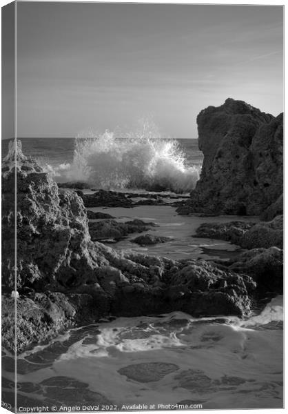 Wave Crushing Rocks in Gale Beach Canvas Print by Angelo DeVal