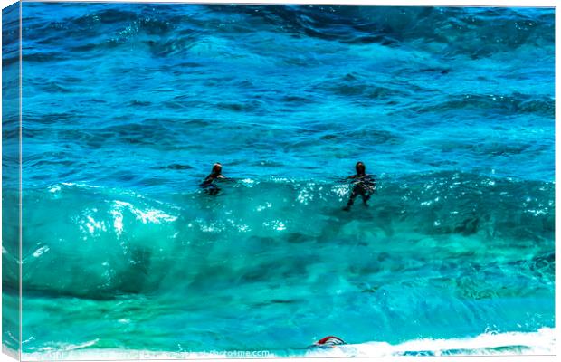 Colorful Swimmers Waves Makapuu Beach Honolulu Oahu Hawaii Canvas Print by William Perry