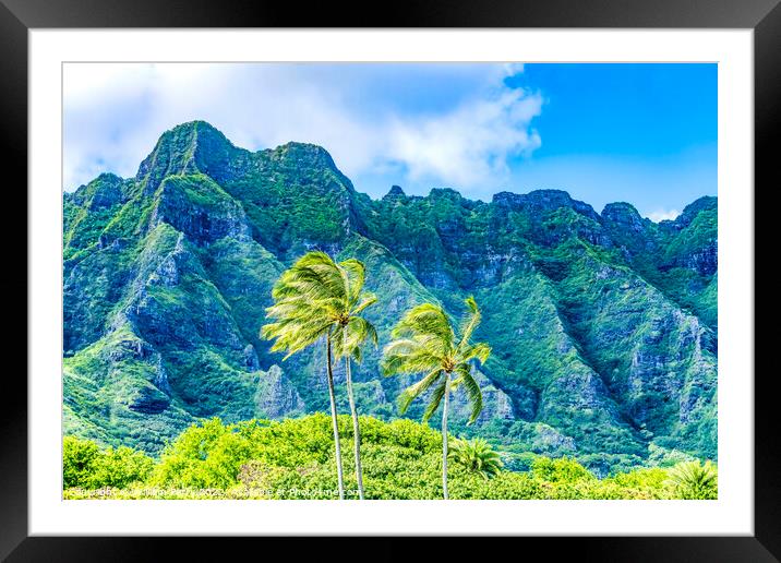 Palm Trees Green Mountain Kualoa Regional Park Oahu Hawaii Framed Mounted Print by William Perry