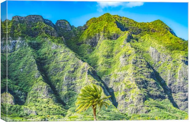 Colorful Palm Tree Green Mountain Kualoa Regional Park North Sho Canvas Print by William Perry