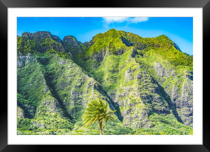 Colorful Palm Tree Green Mountain Kualoa Regional Park North Sho Framed Mounted Print by William Perry