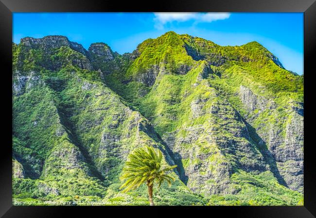 Colorful Palm Tree Green Mountain Kualoa Regional Park North Sho Framed Print by William Perry