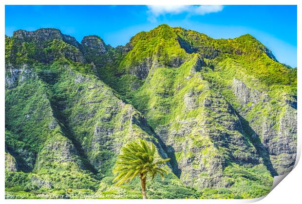Colorful Palm Tree Green Mountain Kualoa Regional Park North Sho Print by William Perry