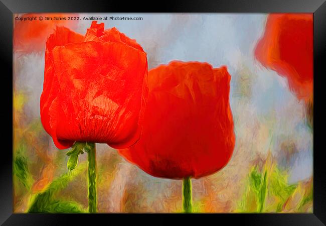 Artistic Poppies Framed Print by Jim Jones