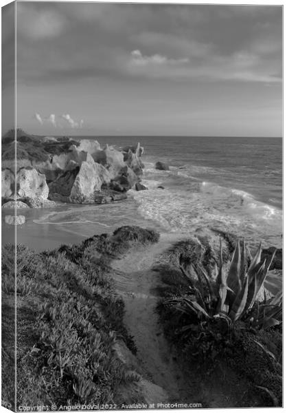 View of Gale Over Cliffs - Monochrome Canvas Print by Angelo DeVal