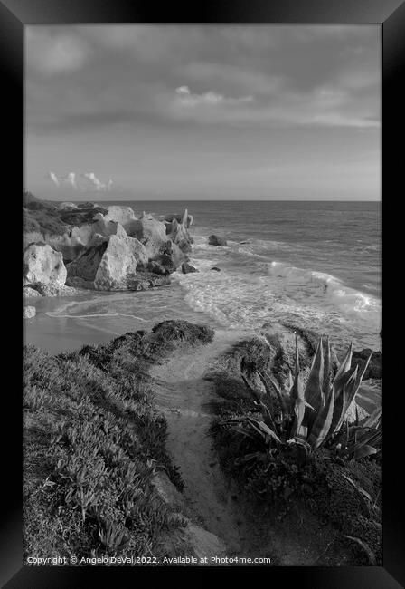 View of Gale Over Cliffs - Monochrome Framed Print by Angelo DeVal
