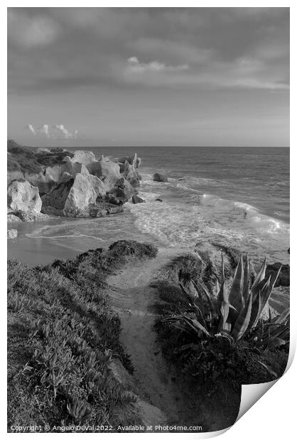 View of Gale Over Cliffs - Monochrome Print by Angelo DeVal