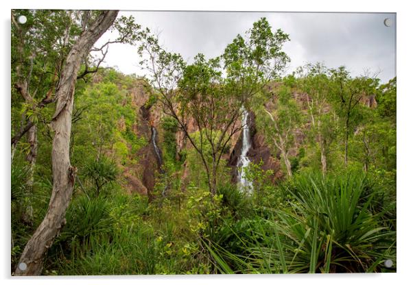 Litchfield NP Wangi Falls  Acrylic by Antonio Ribeiro